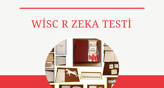 wisc-r-zeka-testi