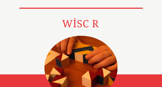 wisc-r