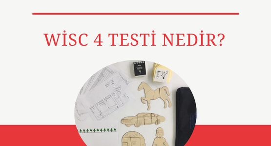 wisc-4-testi-nedir