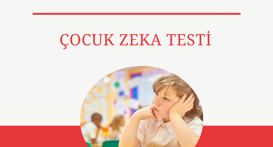 cocuk zeka testi