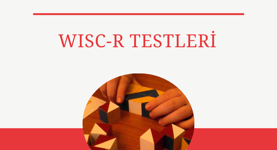 wisc-r-testleri