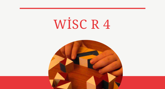 wisc r 4