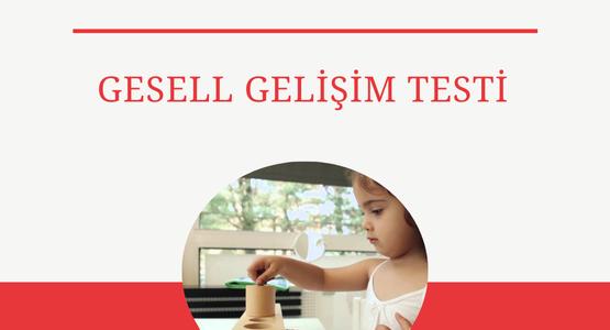 gesell gelisim testi