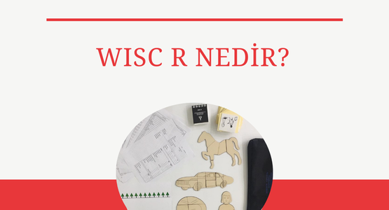 wisc r nedir