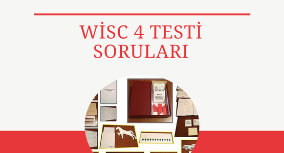 wisc 4 testi sorulari