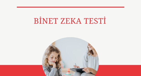binet zeka testi
