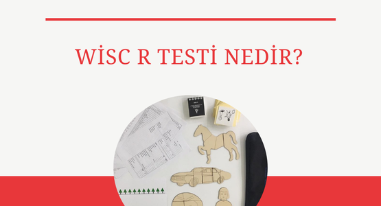 wisc r testi nedir