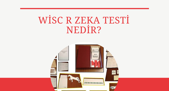 wisc r zeka testi nedir