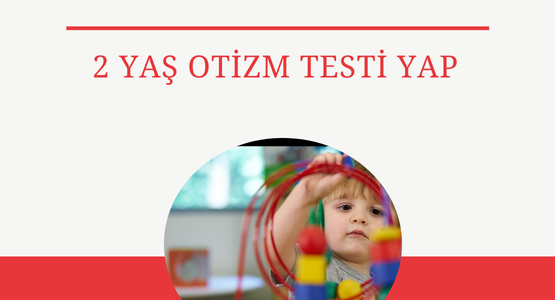 2 yas otizm testi yap