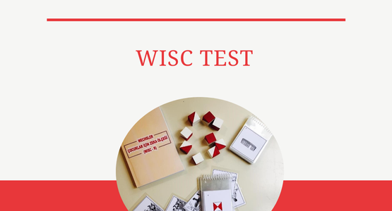 wisc test