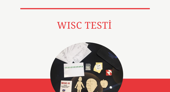 wisc testi