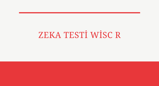 zeka testi wisc r