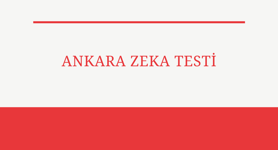 ankara zeka testi