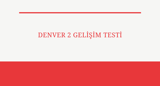 denver-2-gelisim-testi
