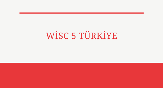 wisc 5 turkiye