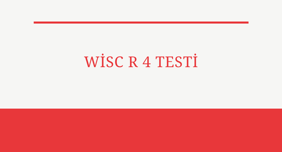 wisc r 4 testi