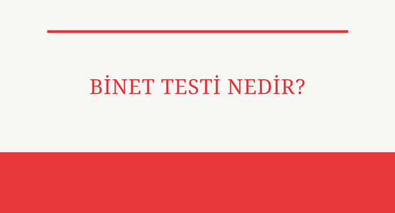 binet testi nedir