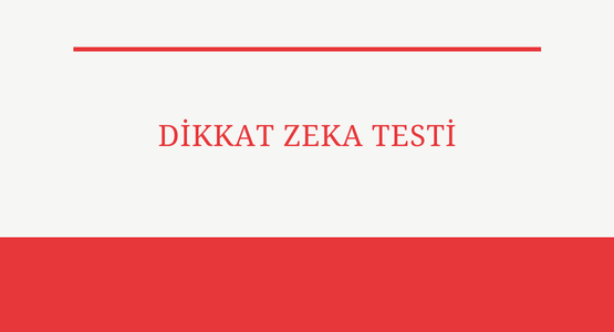 dikkat zeka testi