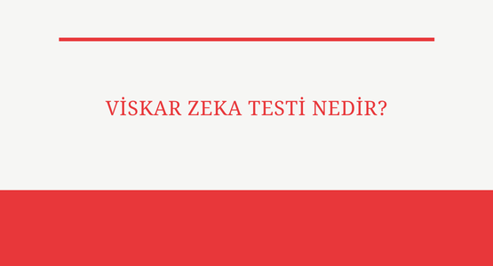 viskar zeka testi nedir