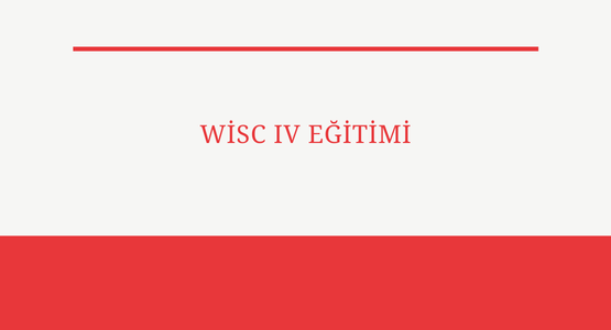 wisc iv egitimi