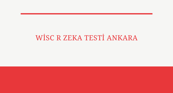 wisc-r-zeka-testi-ankara