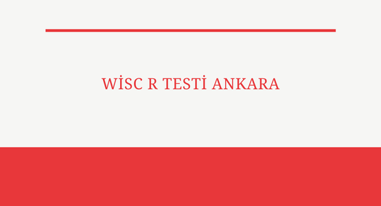 wisc r testi ankara