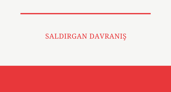 saldirgan davranis